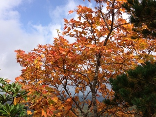 2012.10.9 045.JPG