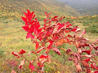 2012.10.9 098.JPG