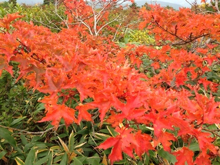 2012.10.9 102.JPG