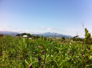 2012.514 019.JPG