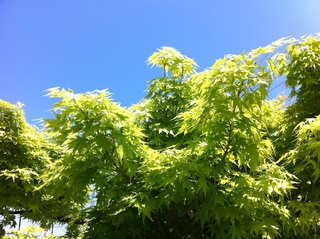2012.514 020.JPG
