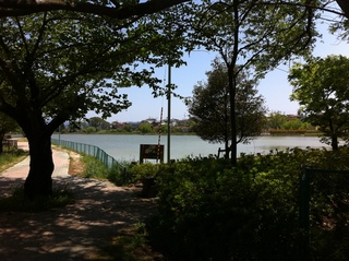 2012.514 022.JPG