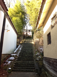 2013.1.7 019.JPG