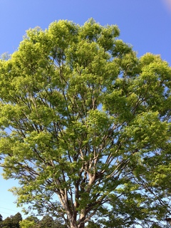 2013.4.12 003.JPG