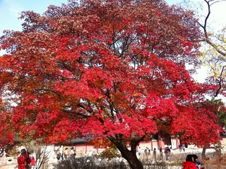 2011.11.8 026.JPG