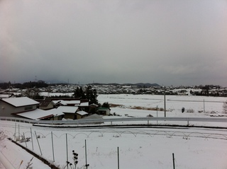 2011.2.27 003.JPG
